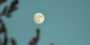 Piso 21 y Bacilos en es lo mazzz