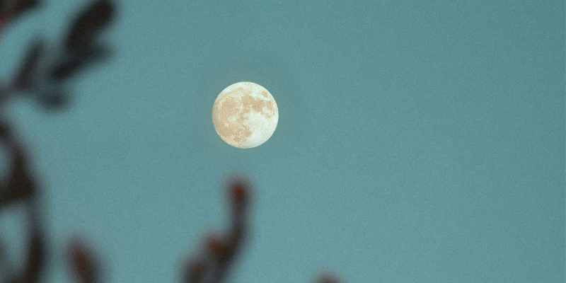 Piso 21 y Bacilos en es lo mazzz