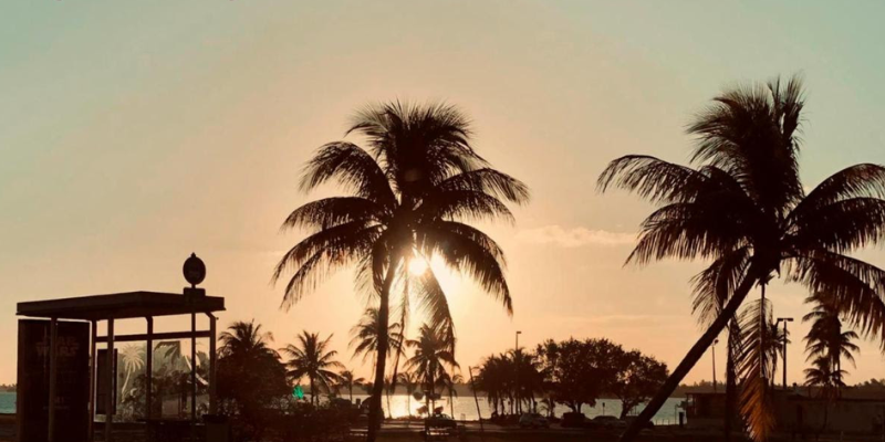 Avionica lanza Una Tarde en Miami y convierte el escenario en refugio
